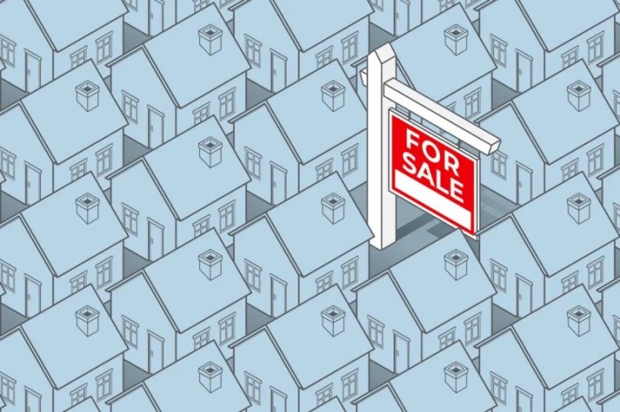 Buying a home with bad credit